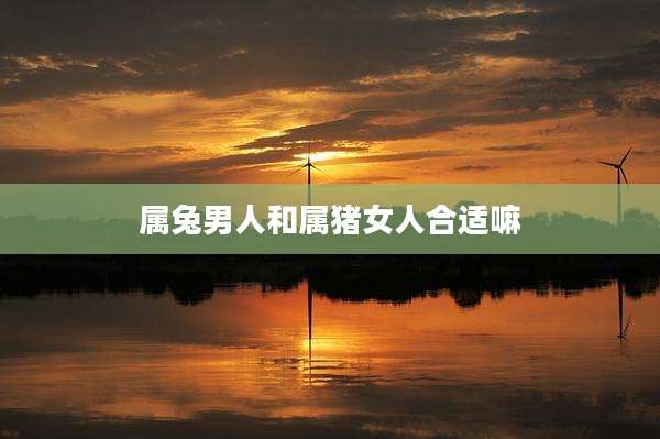 属兔男人和属猪女人合适嘛