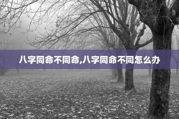 八字同命不同命,八字同命不同怎么办