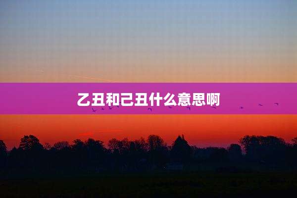 乙丑和己丑什么意思啊