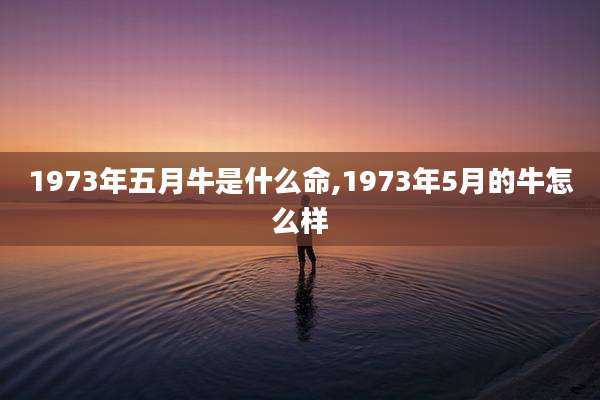 1973年五月牛是什么命,1973年5月的牛怎么样