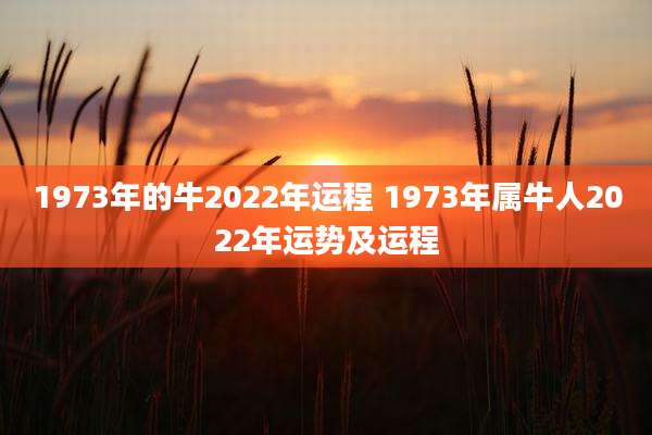 1973年的牛2022年运程 1973年属牛人2022年运势及运程
