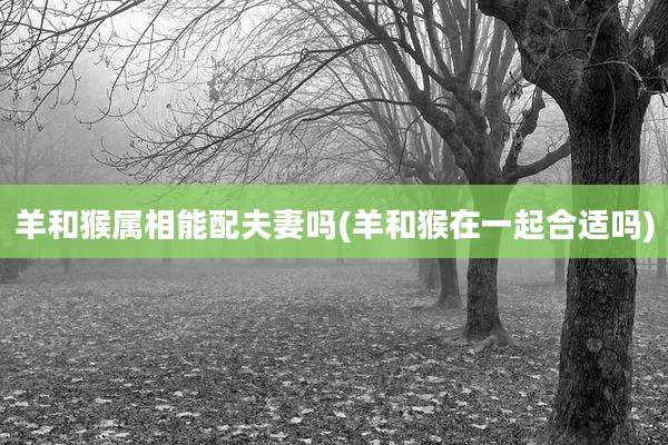 羊和猴属相能配夫妻吗(羊和猴在一起合适吗)