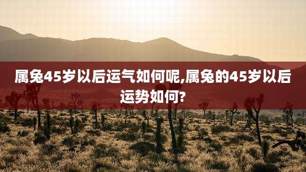 属兔45岁以后运气如何呢,属兔的45岁以后运势如何?