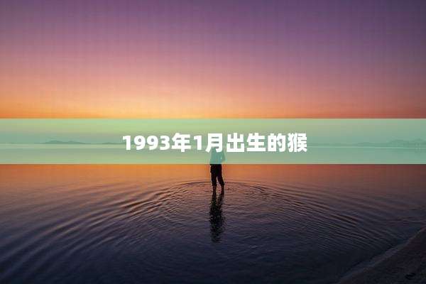 1993年1月出生的猴