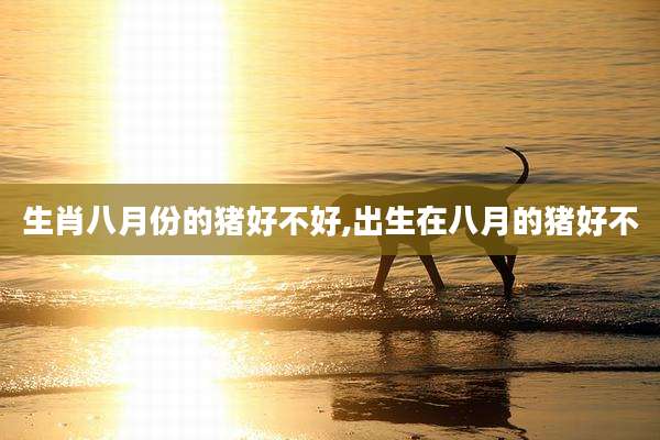 生肖八月份的猪好不好,出生在八月的猪好不