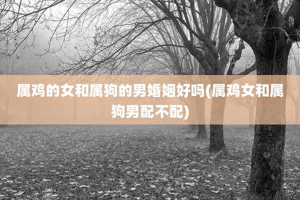 属鸡的女和属狗的男婚姻好吗(属鸡女和属狗男配不配)
