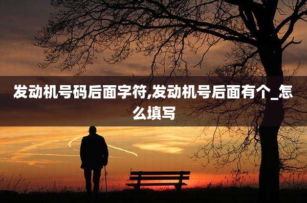 发动机号码后面字符,发动机号后面有个_怎么填写