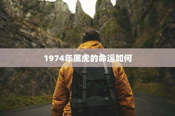 1974年属虎的命运如何
