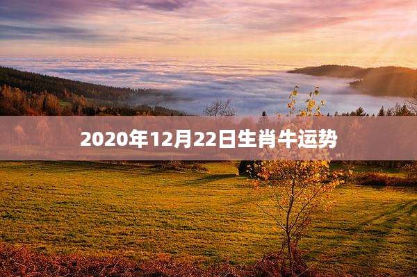 2020年12月22日生肖牛运势