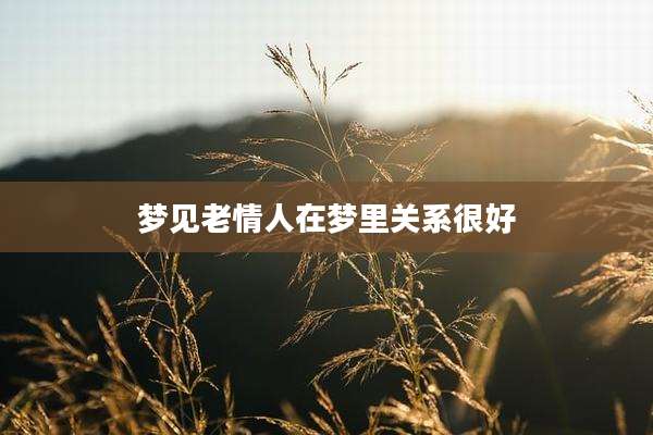 梦见老情人在梦里关系很好