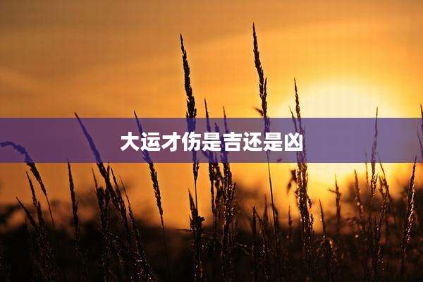 大运才伤是吉还是凶