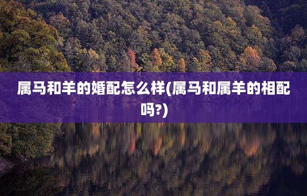 属马和羊的婚配怎么样(属马和属羊的相配吗?)