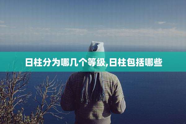 日柱分为哪几个等级,日柱包括哪些
