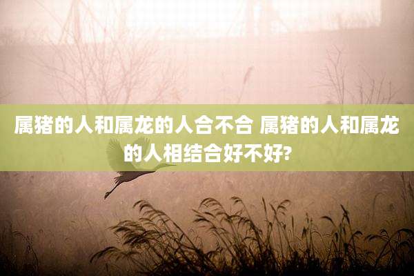 属猪的人和属龙的人合不合 属猪的人和属龙的人相结合好不好?