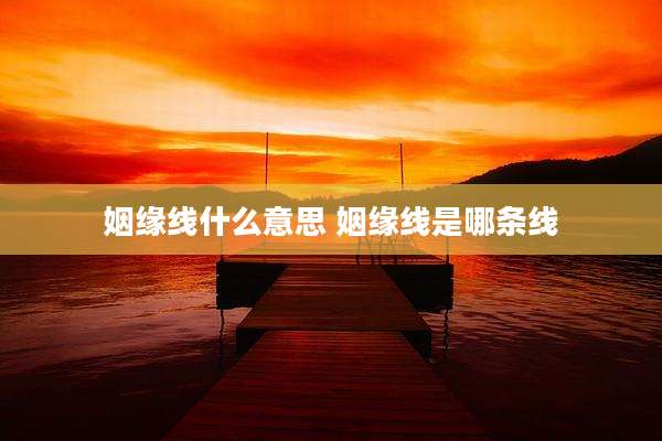姻缘线什么意思 姻缘线是哪条线