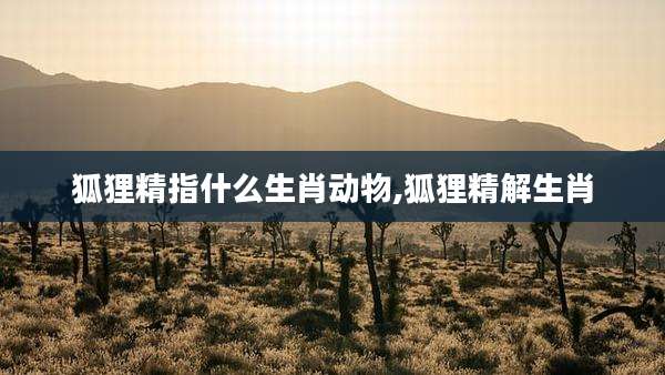 狐狸精指什么生肖动物,狐狸精解生肖