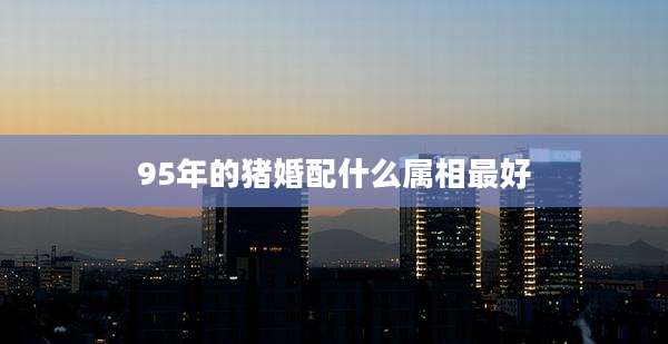 95年的猪婚配什么属相最好