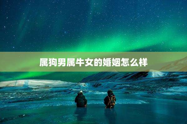 属狗男属牛女的婚姻怎么样