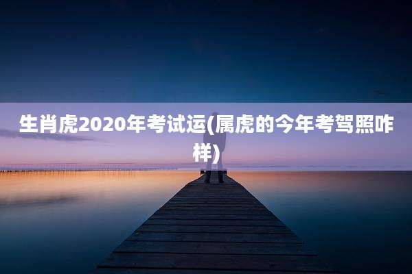 生肖虎2020年考试运(属虎的今年考驾照咋样)