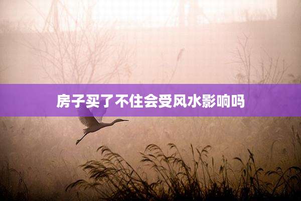 房子买了不住会受风水影响吗