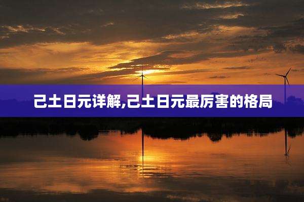己土日元详解,己土日元最厉害的格局