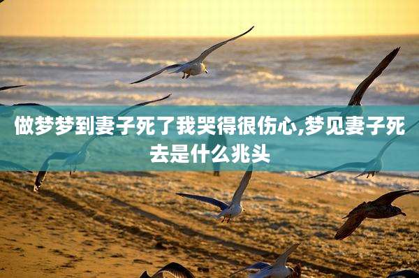 做梦梦到妻子死了我哭得很伤心,梦见妻子死去是什么兆头