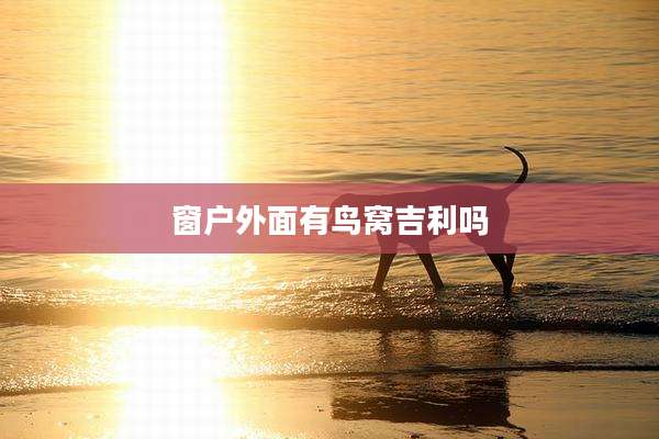 窗户外面有鸟窝吉利吗