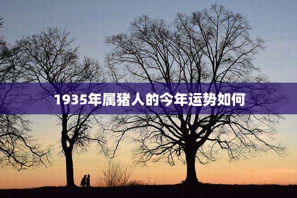 1935年属猪人的今年运势如何