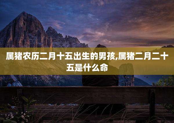 属猪农历二月十五出生的男孩,属猪二月二十五是什么命