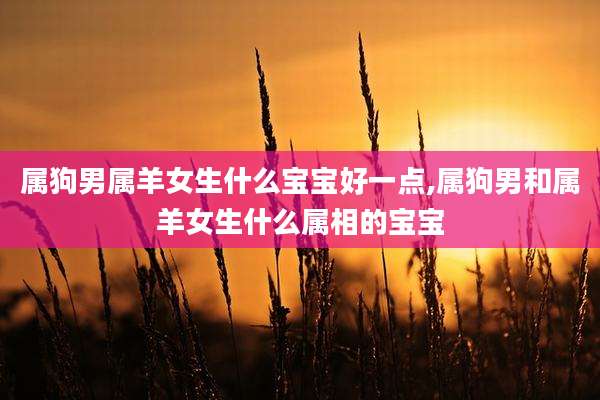 属狗男属羊女生什么宝宝好一点,属狗男和属羊女生什么属相的宝宝