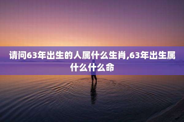 请问63年出生的人属什么生肖,63年出生属什么什么命