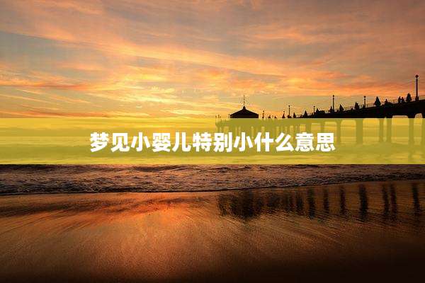 梦见小婴儿特别小什么意思