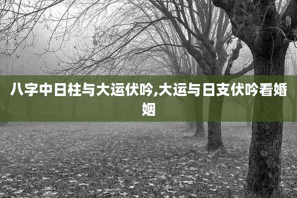 八字中日柱与大运伏吟,大运与日支伏吟看婚姻