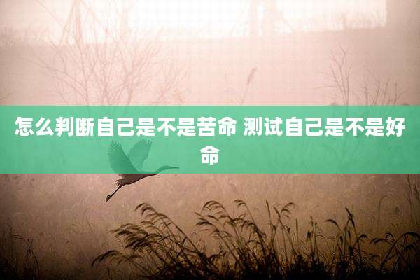 怎么判断自己是不是苦命 测试自己是不是好命