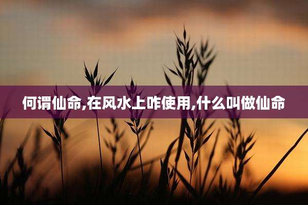 何谓仙命,在风水上咋使用,什么叫做仙命