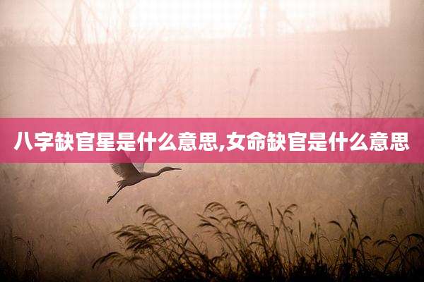 八字缺官星是什么意思,女命缺官是什么意思