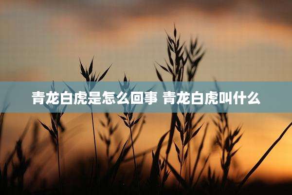 青龙白虎是怎么回事 青龙白虎叫什么