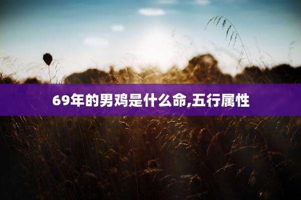 69年的男鸡是什么命,五行属性