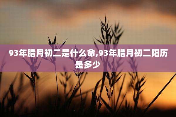 93年腊月初二是什么命,93年腊月初二阳历是多少