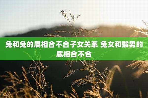 兔和兔的属相合不合子女关系 兔女和猴男的属相合不合
