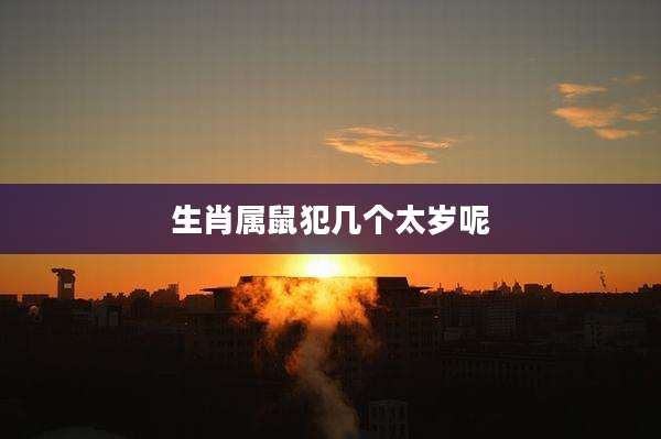 生肖属鼠犯几个太岁呢