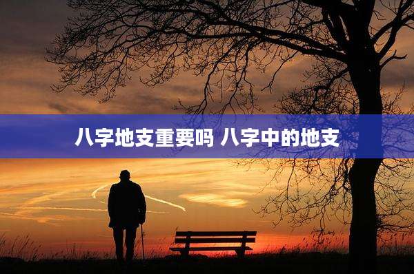 八字地支重要吗 八字中的地支