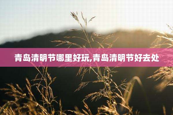 青岛清明节哪里好玩,青岛清明节好去处