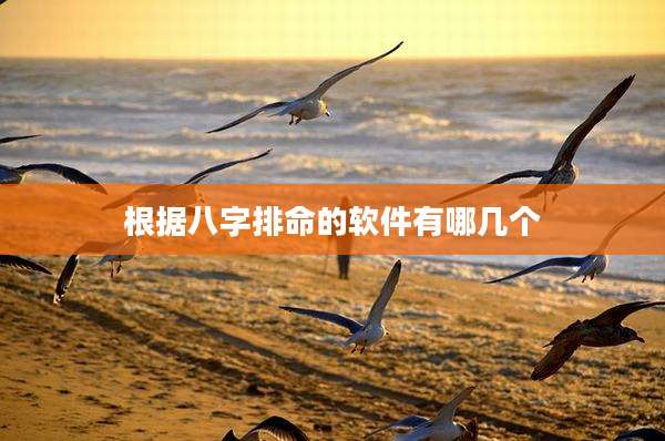 根据八字排命的软件有哪几个
