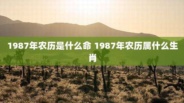 1987年农历是什么命 1987年农历属什么生肖