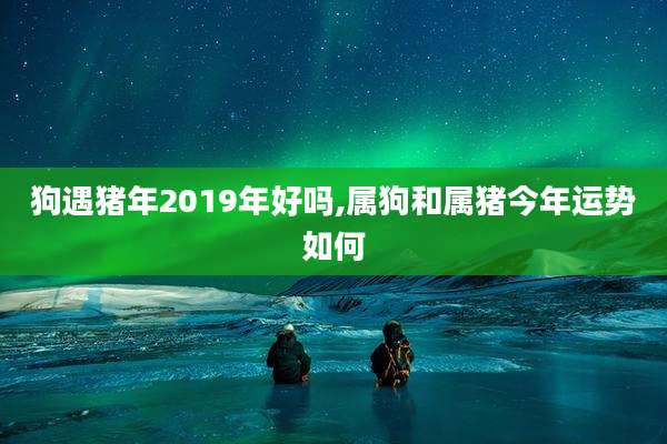 狗遇猪年2019年好吗,属狗和属猪今年运势如何