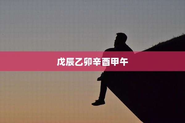 戊辰乙卯辛酉甲午