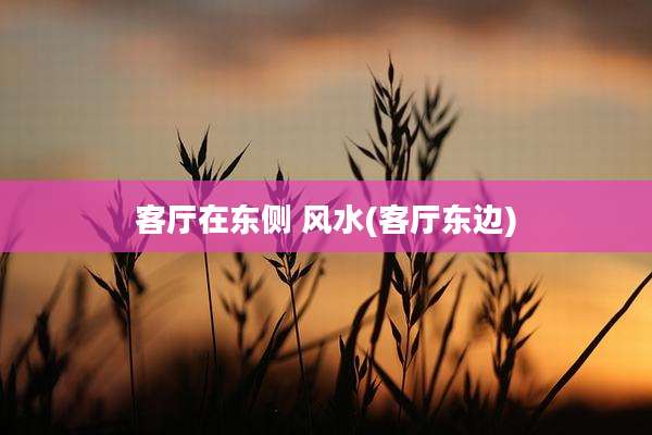 客厅在东侧 风水(客厅东边)
