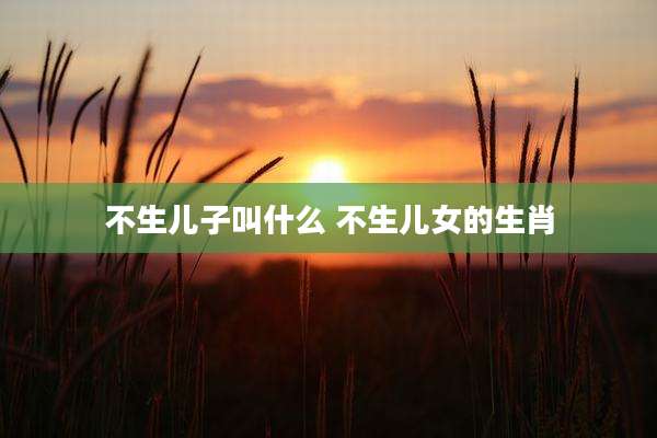 不生儿子叫什么 不生儿女的生肖