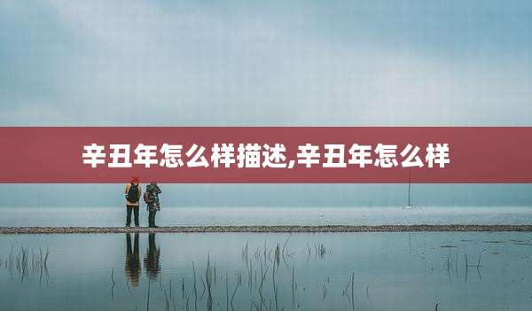 辛丑年怎么样描述,辛丑年怎么样